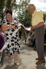 dsc03488.jpg