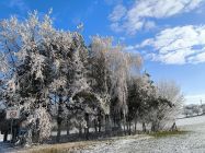 img_20250103_105023.jpg