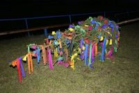 Martinské hody 2009 - stavění máje