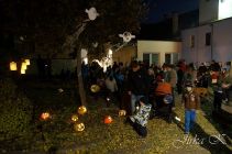 dsc08656.jpg