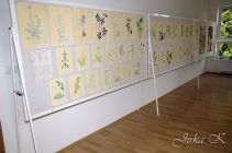 dsc03426.jpg