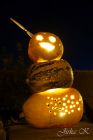dsc08669.jpg
