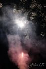 dsc25696.jpg