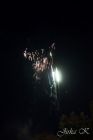 dsc08644.jpg