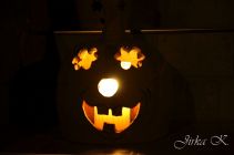 dsc04834.jpg
