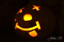 dsc04833.jpg