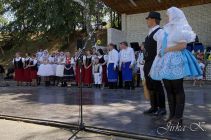 dsc07387.jpg