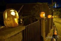 dsc08673.jpg