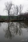 dsc37131.jpg