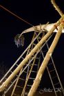 dsc08839.jpg