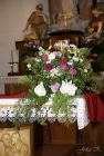 dsc33608.jpg