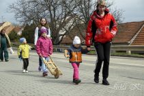 dsc11737.jpg