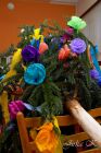 dsc16581.jpg