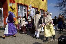 dsc11637.jpg
