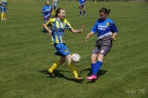 dsc30018.jpg
