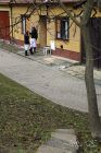 dsc04962.jpg