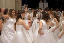 dsc33268.jpg