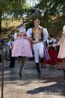 dsc07401.jpg