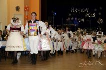 dsc02504.jpg