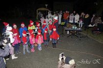 dsc17565.jpg