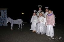 dsc17582.jpg