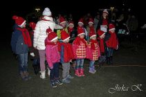 dsc17558.jpg