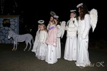 dsc17584.jpg