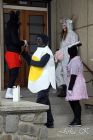 dsc17933.jpg