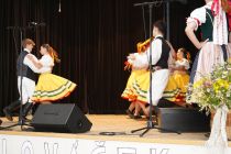 dsc02787.jpg