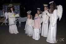 dsc17592.jpg