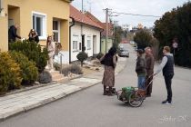 dsc02411.jpg