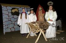 dsc17542.jpg