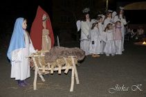 dsc17588.jpg